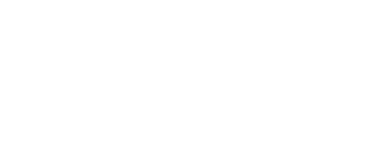 air-amsterdam-logo-white (2)